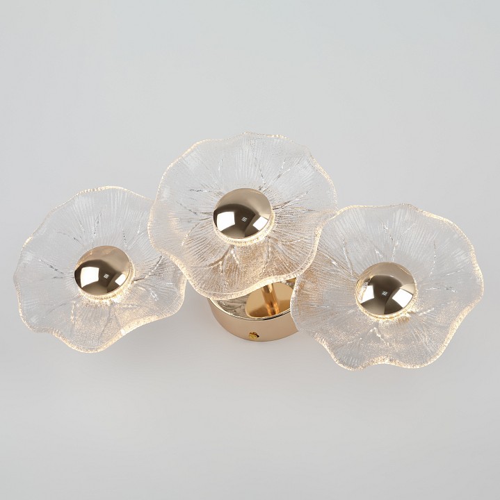 Накладной светильник Rivoli Shannon Б0061948