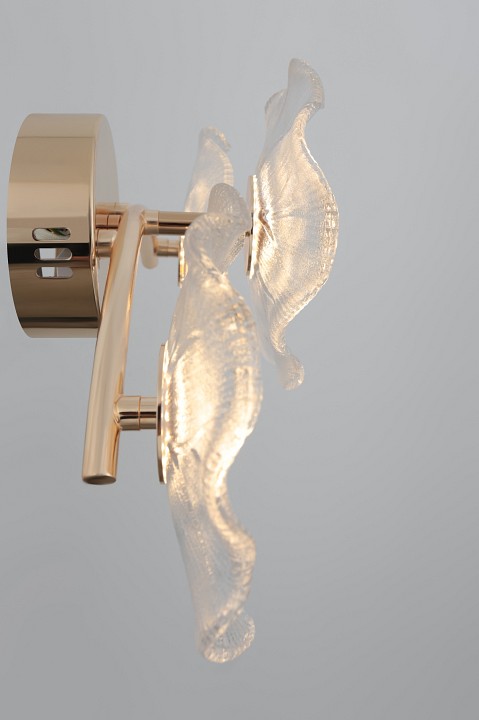 Накладной светильник Rivoli Shannon Б0061948