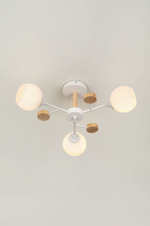 Люстра на штанге Rivoli Chiara Б0068427