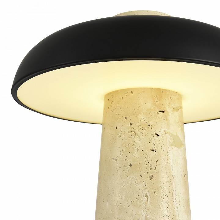 Настольная лампа декоративная ST Luce Earthy SL1194.424.01