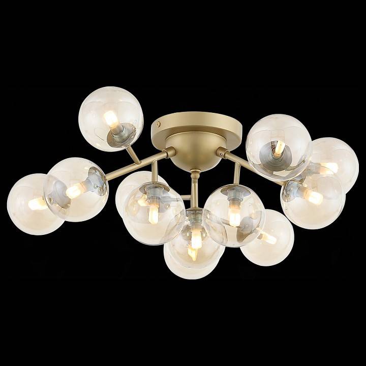 Потолочная люстра ST Luce Pallere SL438.202.12
