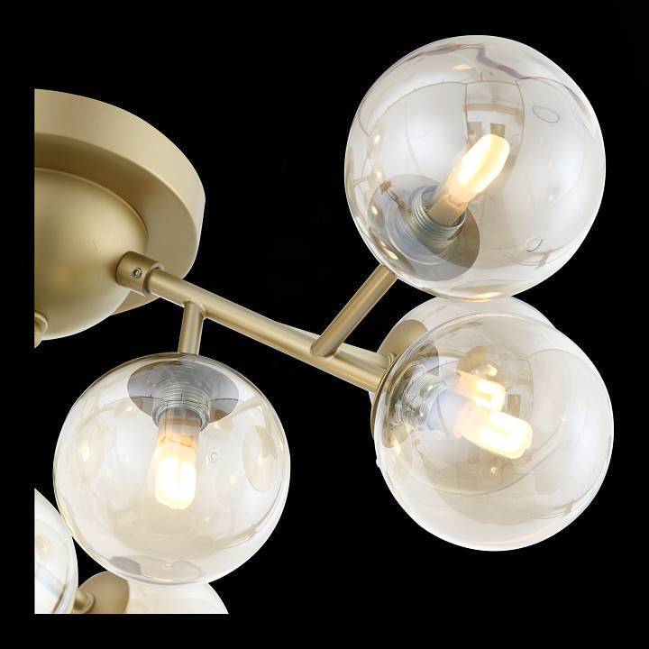 Потолочная люстра ST Luce Pallere SL438.202.12