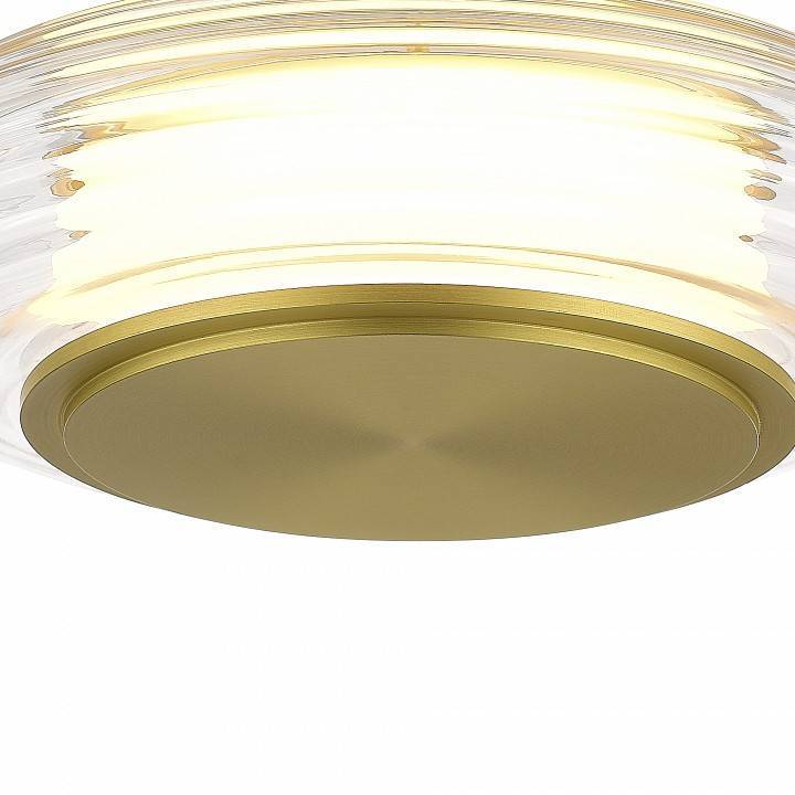 Подвесной светильник ST-Luce FRITTELA SL6239.203.01