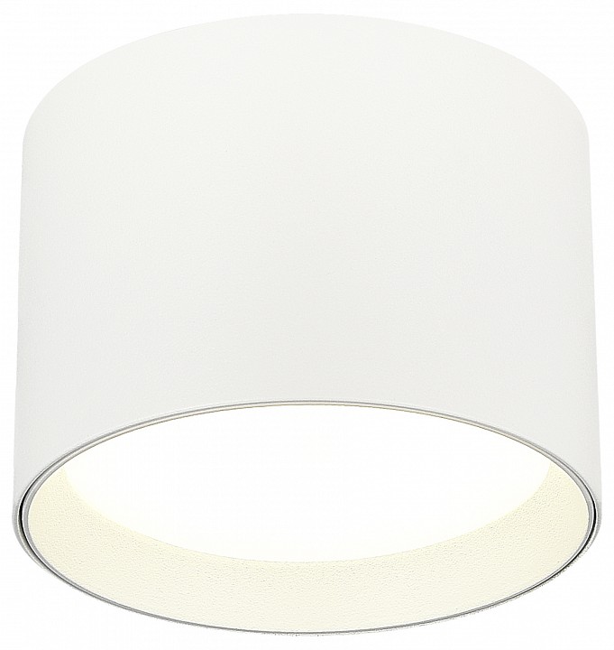 Накладной светильник ST-Luce  ST163.502.01.02