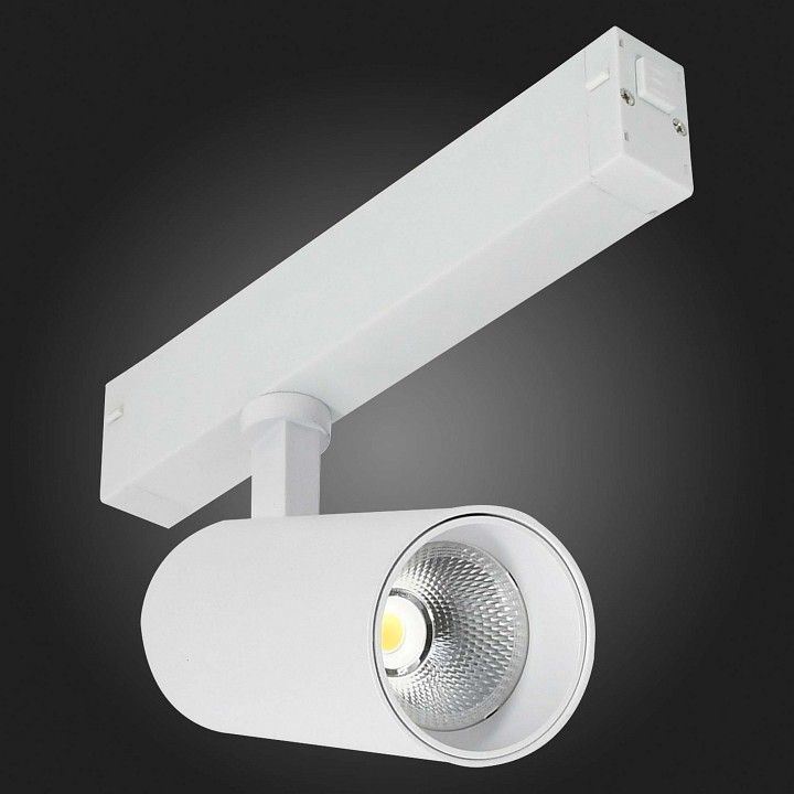 Светильник на штанге ST-Luce SKYLINE 220 ST660.596.20H