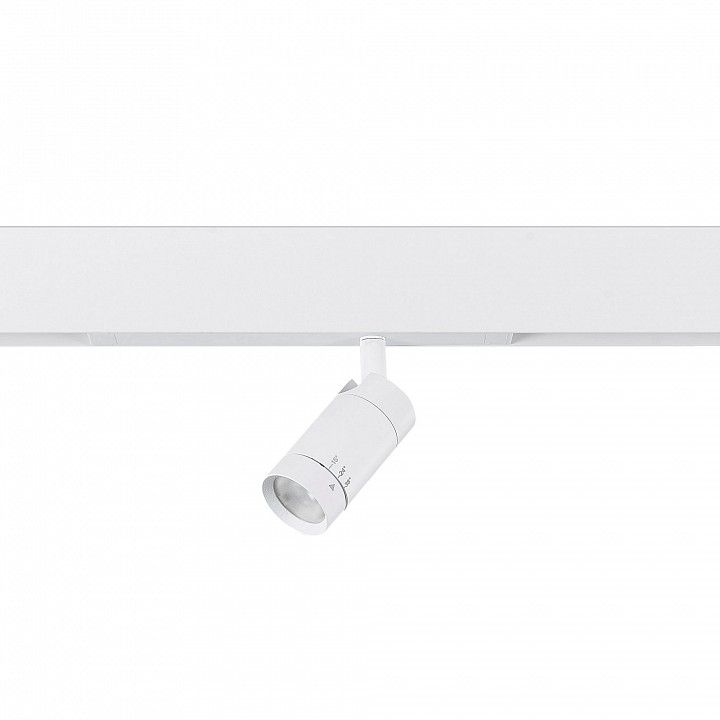 Светильник на штанге ST-Luce SKYLINE 220 ST660.596.20H