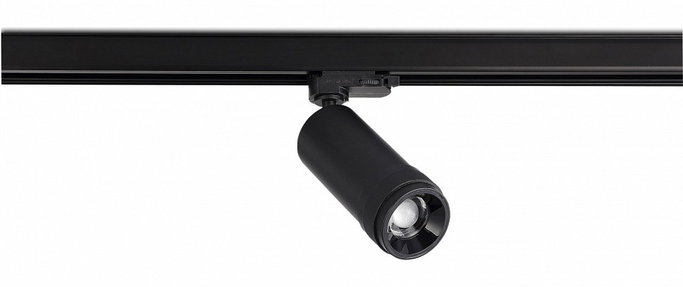 Светильник на штанге ST-Luce ST691.436.20