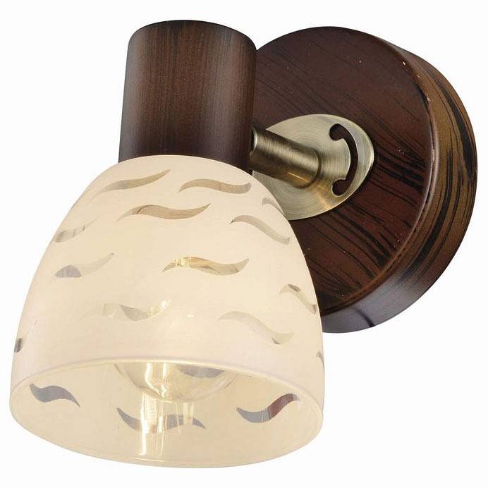 Спот TopLight Shayla 1 лампа TL3730Y-01BB