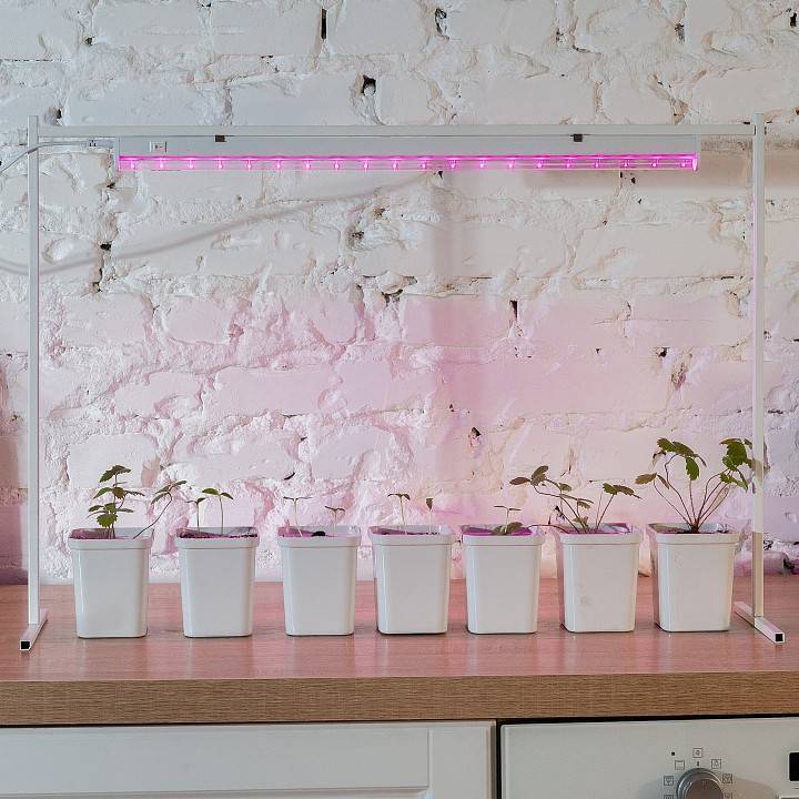 Светильник для растений Uniel ULI-P28 10 Вт 572 мм UL-00005950