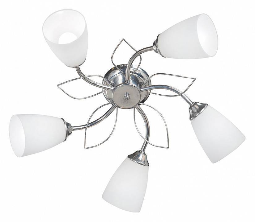 Потолочная люстра Vitaluce V3226 5 ламп V3226/5PL