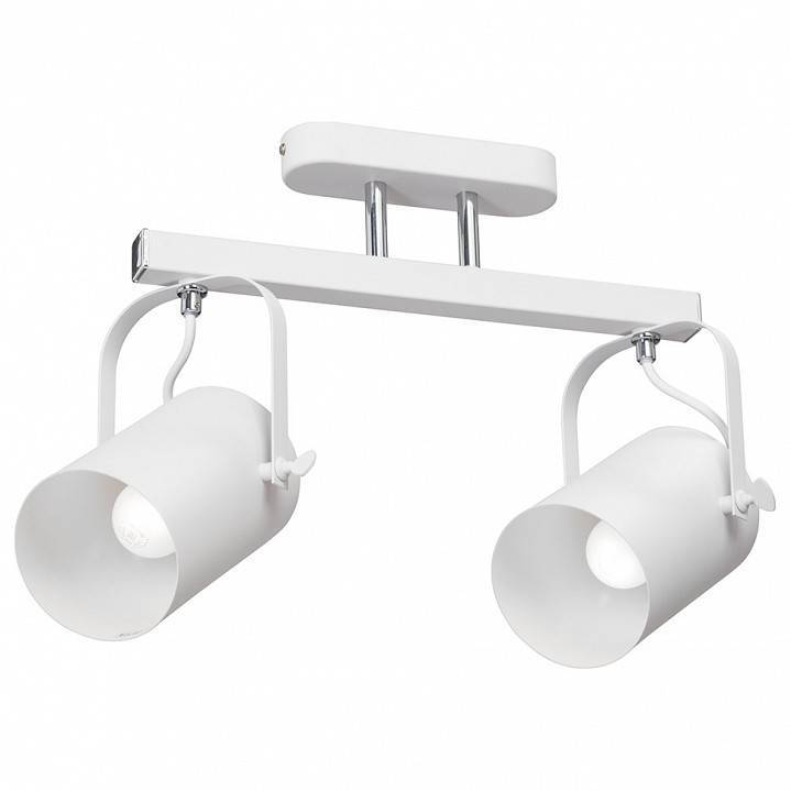 Спот Vitaluce V5254 2 лампы V5254/2PL