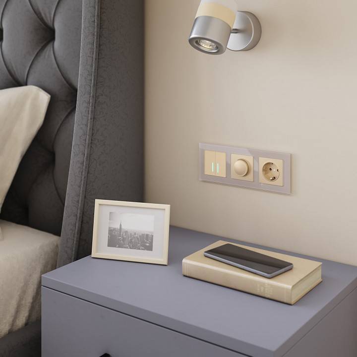 Диммер Werkel шампань без рамки W1142011