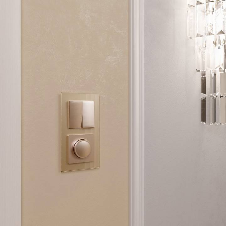 Диммер Werkel шампань без рамки W1142011