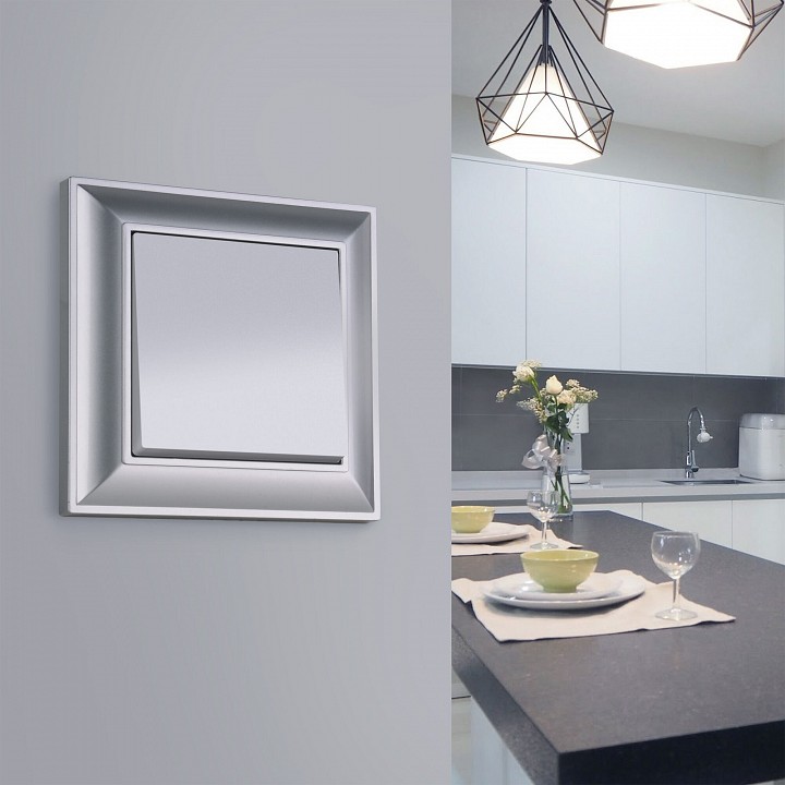 Выключатель одноклавишный без рамки Werkel  W1112006