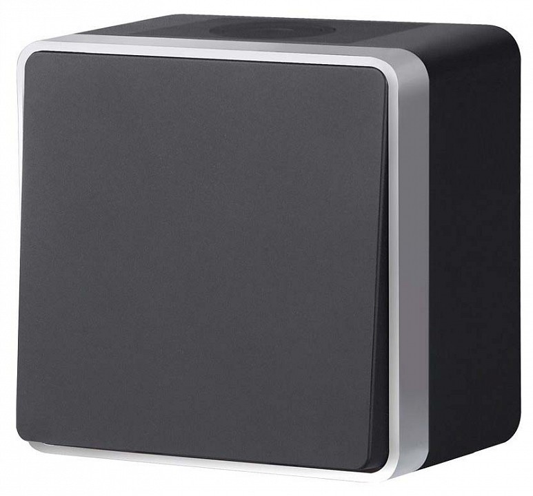 Выключатель одноклавишный влагозащищенный Werkel Gallant (черный с серебром) W5010234