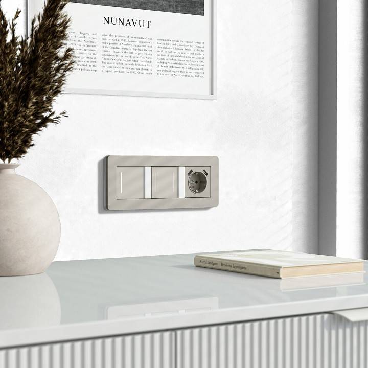 Выключатель двухклавишный с подсветкой без рамки Werkel дымчатый W4522014