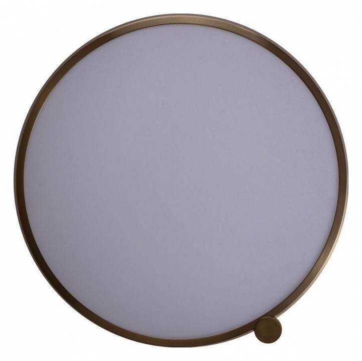 Светильник накладной Zortes Gimpel ZRS.1209.17