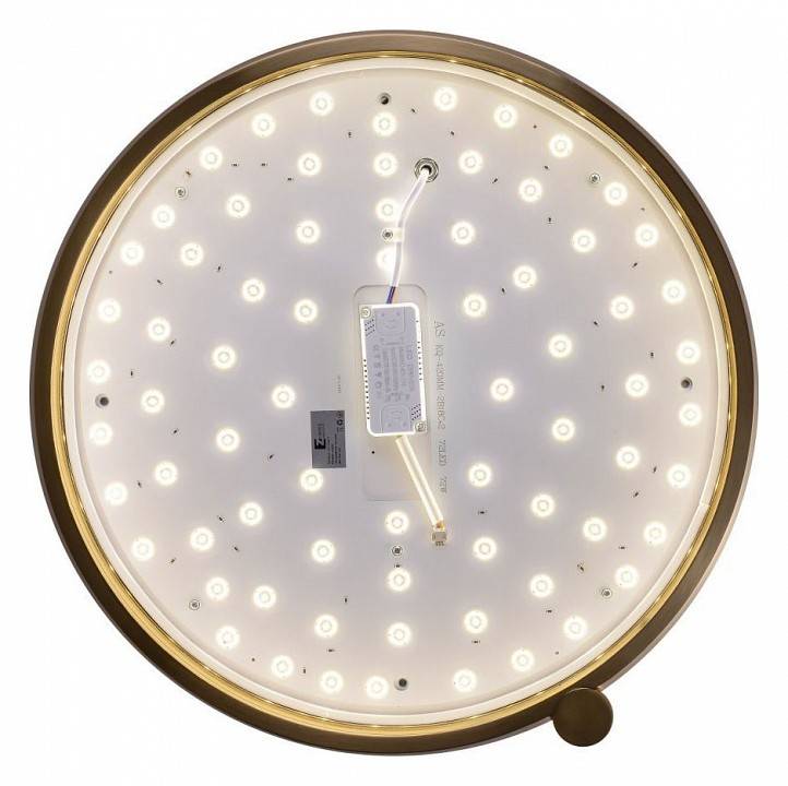 Светильник накладной Zortes Gimpel ZRS.1209.17