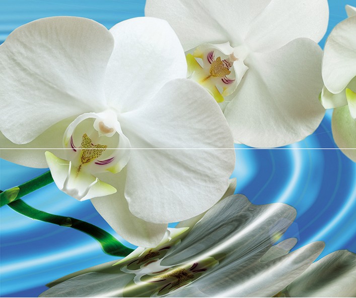 Панно из 2-х плиток Cerrol Water Garden A 60х50 см х9999068633