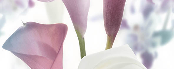 Панно Ceradim Sano B 20х50 см КПН17SanoB