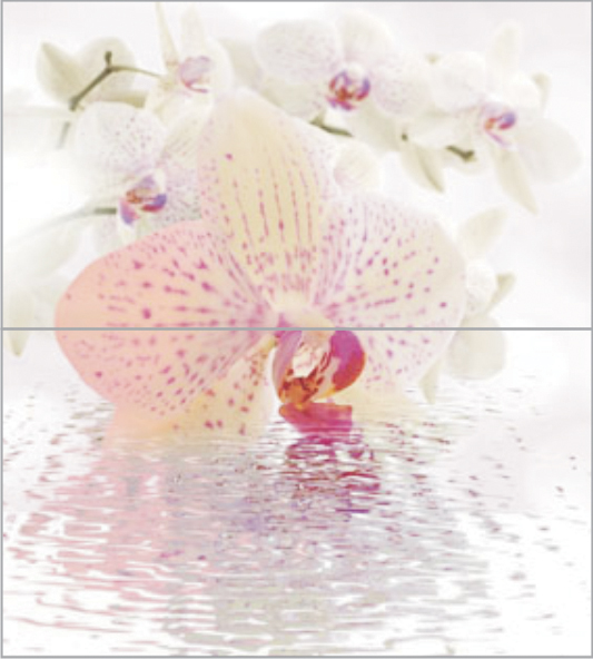 Панно из 2-х плиток Ceradim Orchid 50x45 см КПН16Orchid