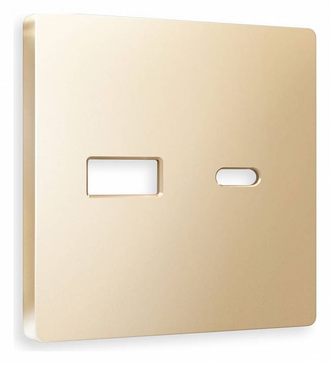 Накладка для розетки type A и C Ambrella Volt Quant AP6110