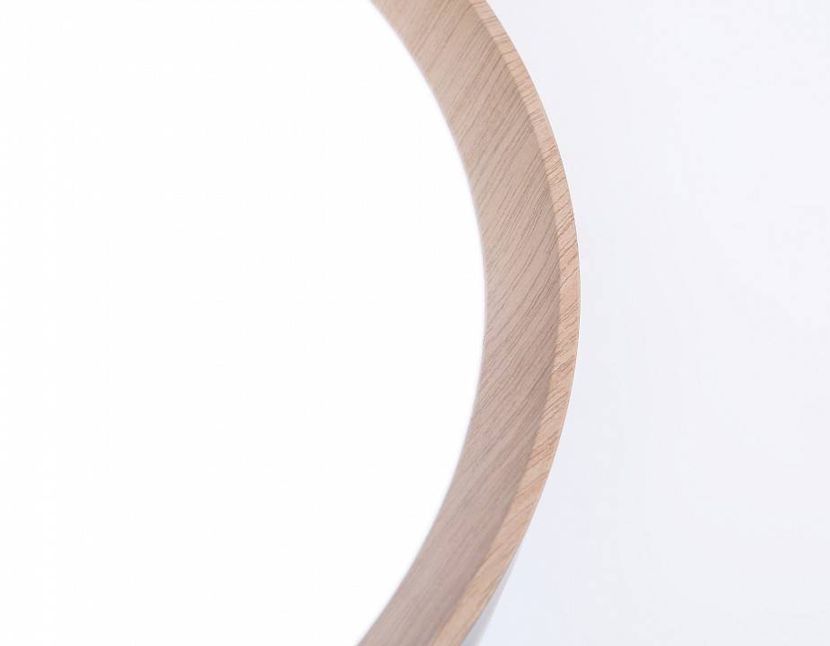 Накладной светильник Ambrella Light FZ FZ1320