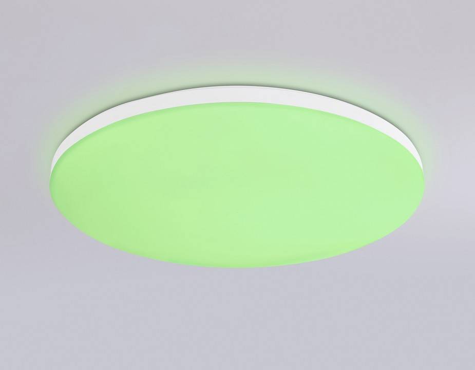 Накладной светильник Ambrella Light FZ FZ2001