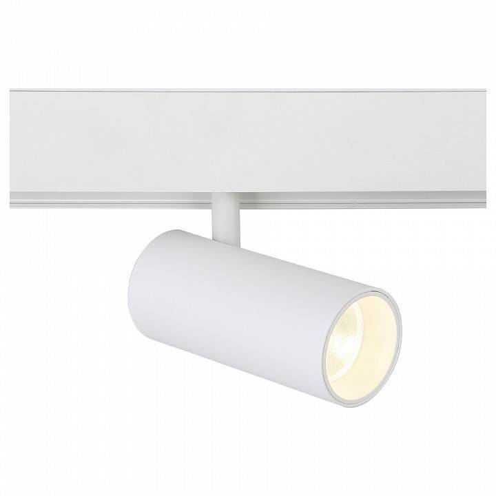 Светильник на штанге Ambrella Light GL GL3828