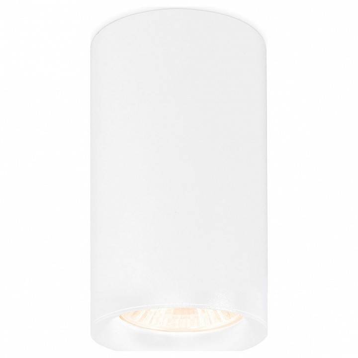 Накладной светильник Ambrella Light TN TN213133