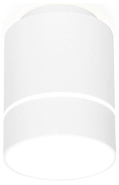 Накладной светильник Ambrella Light TN TN255