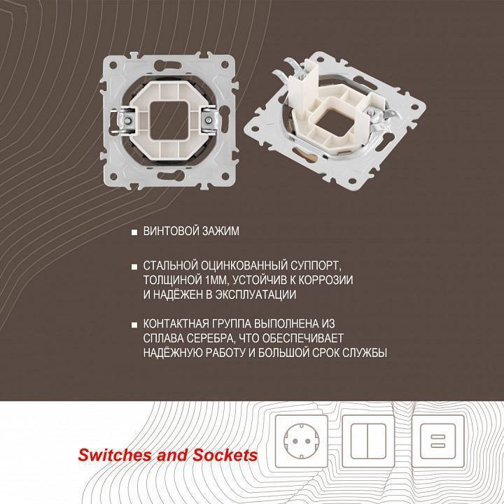 Розетка для вывод кабеля без рамки Arte Milano am-202 202.49-1.shampan