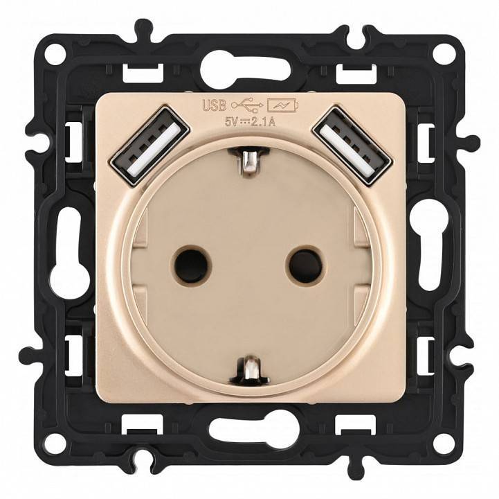 Розетка с заземлением и со шторкой и 2хUSB, без рамки Arte Milano am-217 217.47-1.shampan