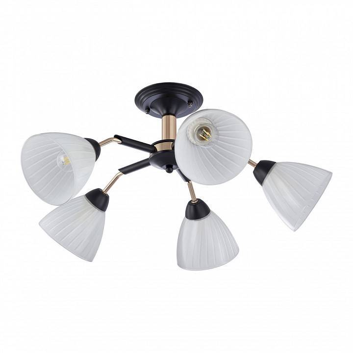 Люстра на штанге Arte Milano Napoli 5 ламп 324108/5 BK+FG