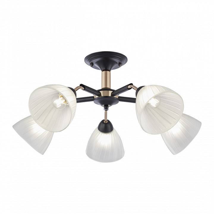 Люстра на штанге Arte Milano Napoli 5 ламп 324108/5 BK+FG