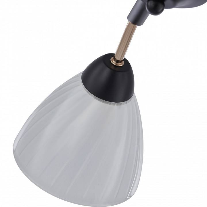 Люстра на штанге Arte Milano Napoli 5 ламп 324108/5 BK+FG