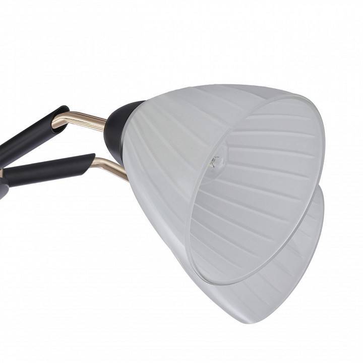 Люстра на штанге Arte Milano Napoli 5 ламп 324108/5 BK+FG