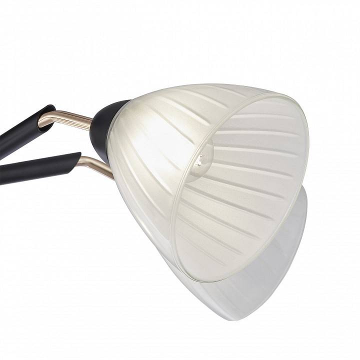 Люстра на штанге Arte Milano Napoli 5 ламп 324108/5 BK+FG