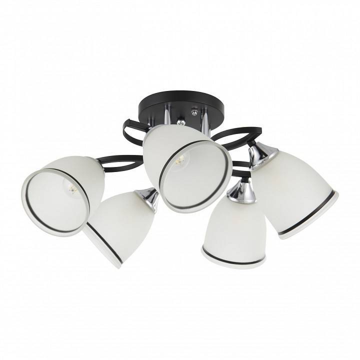 Потолочная люстра Arte Milano AMALFI 5 ламп 325885/5A BK+CR