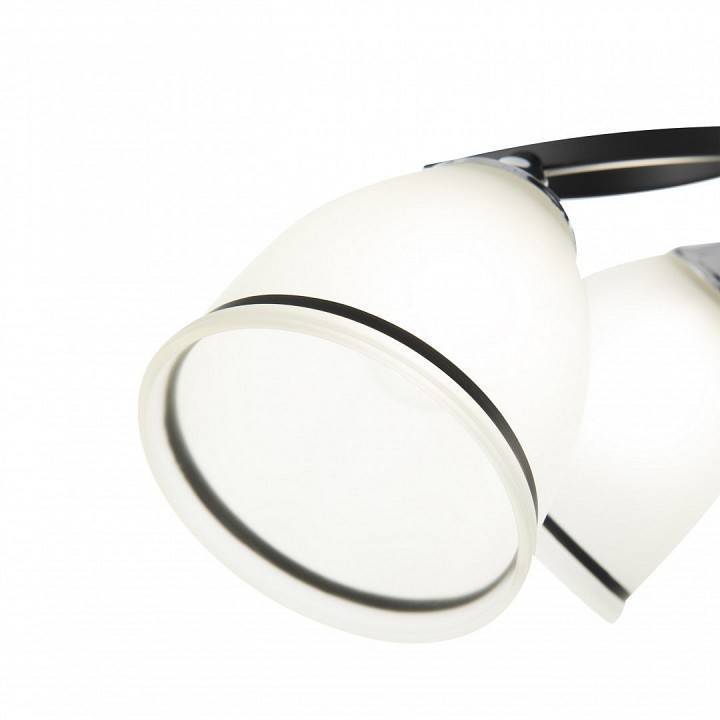 Потолочная люстра Arte Milano AMALFI 5 ламп 325885/5A BK+CR