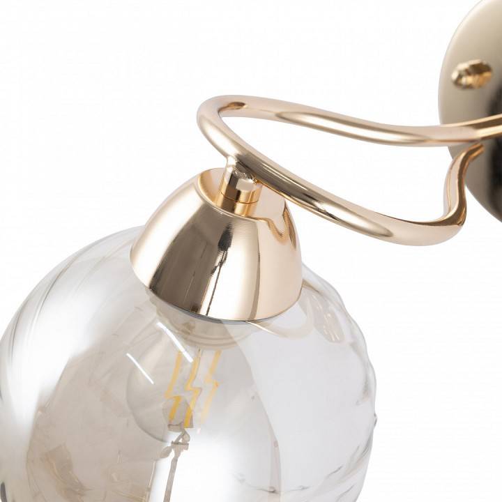 Бра Arte Milano Amalfi 329207/1W GD