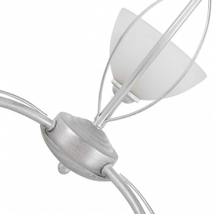 Подвесная люстра Arte Milano Amalfi-0656 3xE14 330656/3 WT+SL