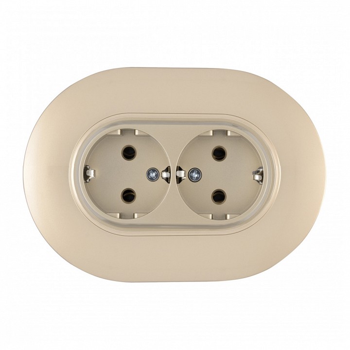 Розетка двойная с заземлением и со шторкой Arte Milano SET08-2 SET08-double-40-2 shampan