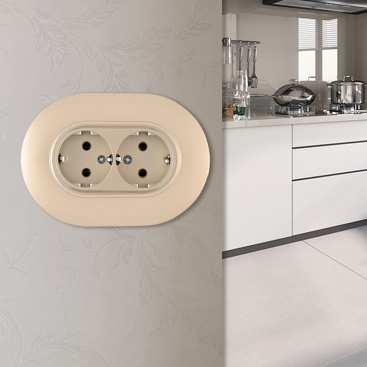 Розетка двойная с заземлением и со шторкой Arte Milano SET08-2 SET08-double-40-2 shampan