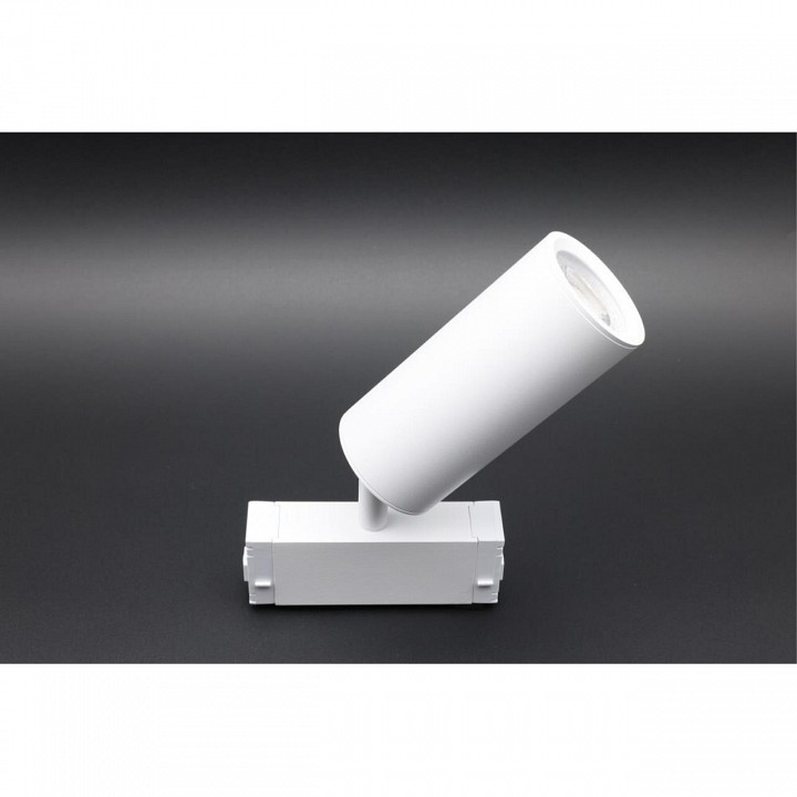 Светильник на штанге Aployt Magnetic track 220 APL.0209.11.01