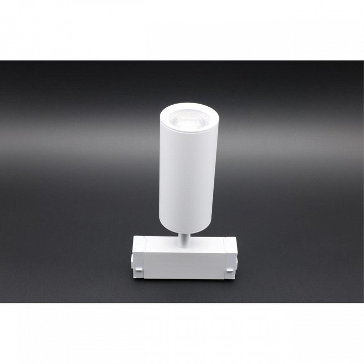 Светильник на штанге Aployt Magnetic track 220 APL.0209.11.01