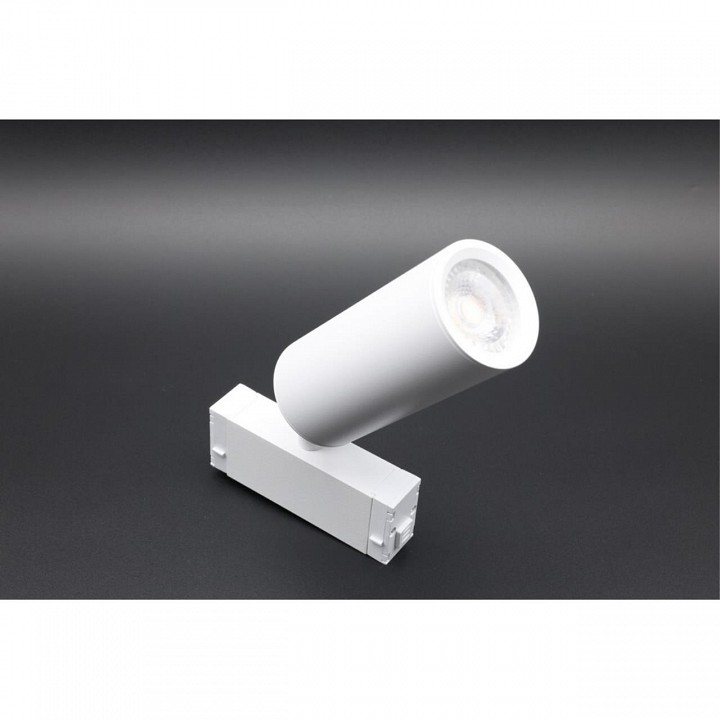 Светильник на штанге Aployt Magnetic track 220 APL.0209.11.01