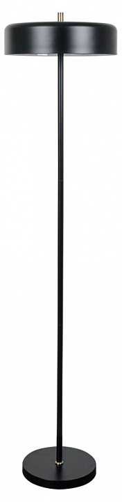 Торшер Arte Lamp Skat A7052PN-2BK