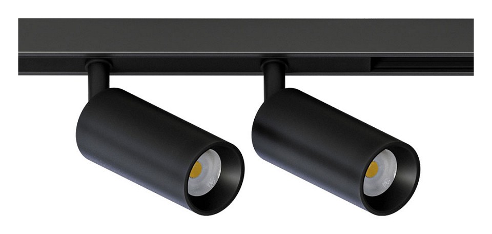 Светильник на штанге Arte Lamp Optima A7260PL-2BK