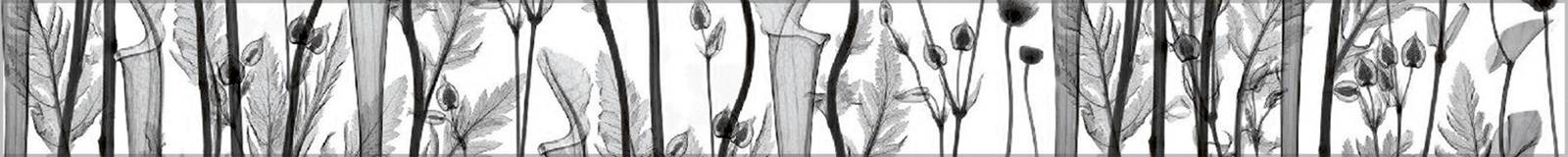 Бордюр Alma Ceramica Esta 50х500х7.5 мм BWU56EST002